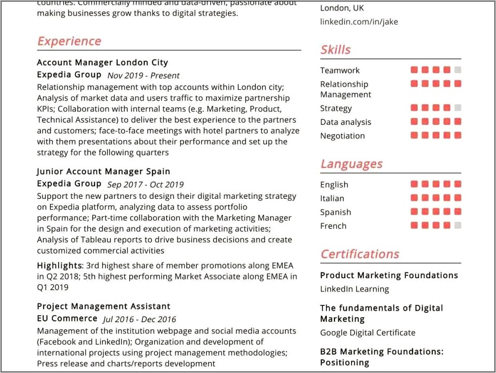 Digital Marketing Account Manager Resume