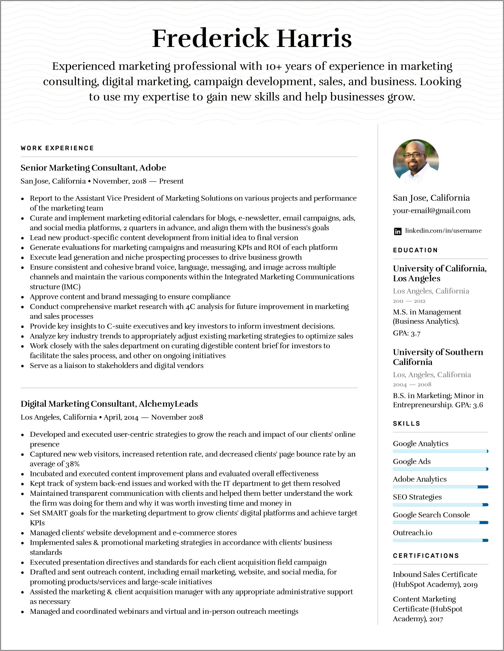 Digital Marketing Analyst Skills Resume