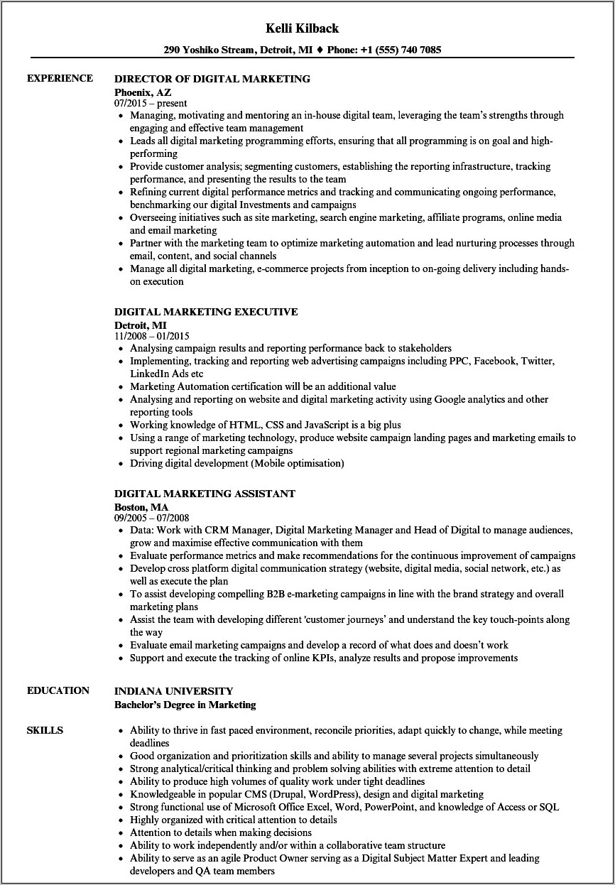 Digital Marketing Resume Examples Junior