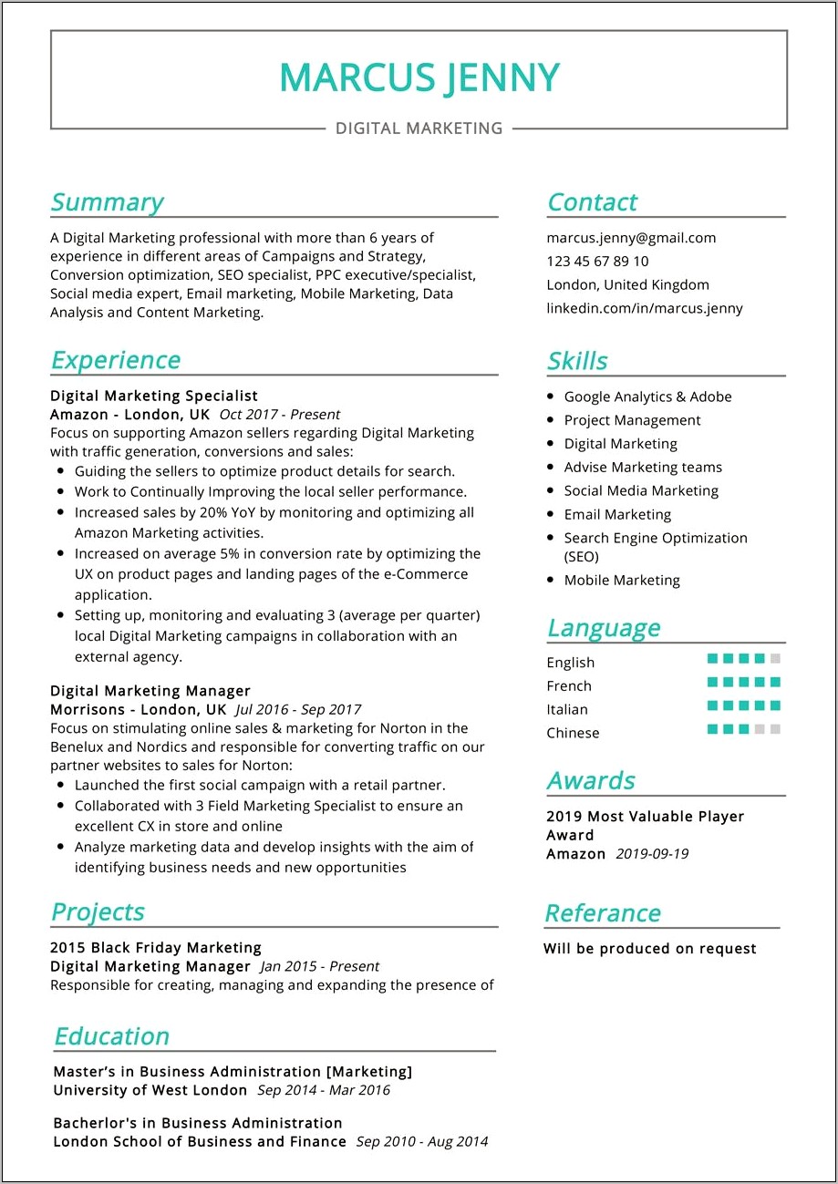 Digital Marketing Specialist Resume Example