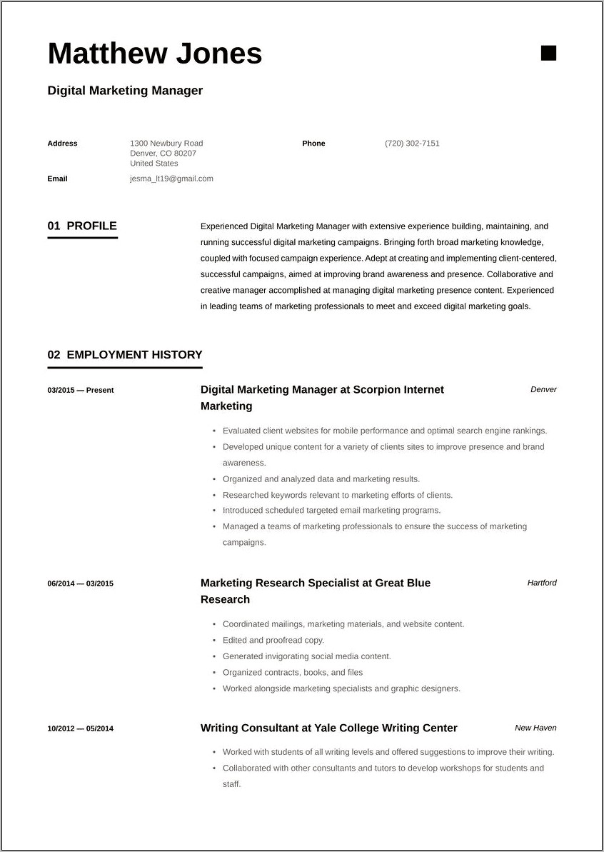 Digital Media Marketing Resume Example