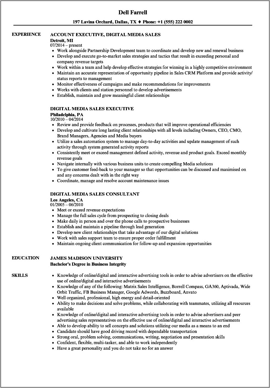 Digital Media Professional Skills Resume