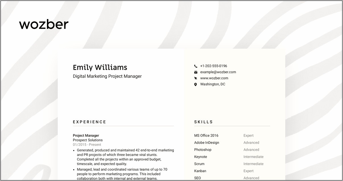 Digital Project Manager Resume Summary