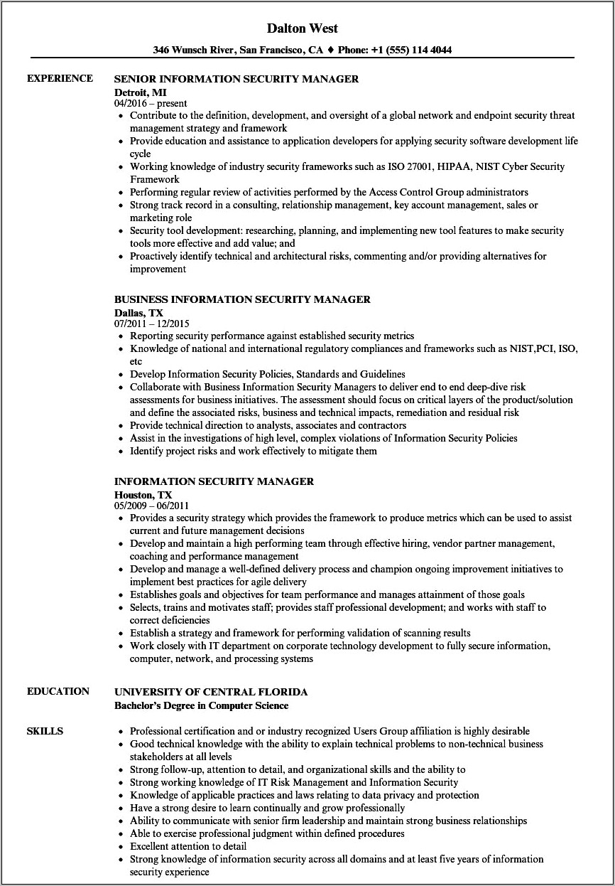 Director Of Security Resume Examples