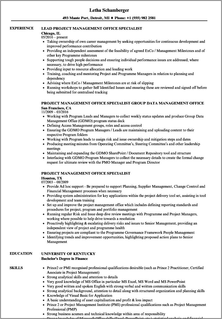 Director Project Management Office Resume