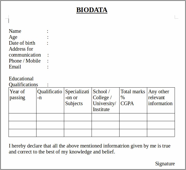 Download A Bio Data Template For Word