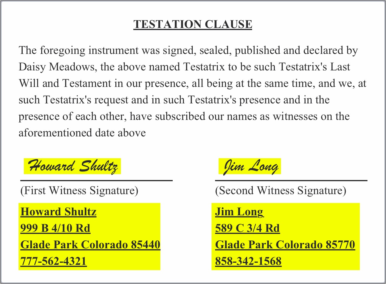 Download Last Will And Testament Template South Africa