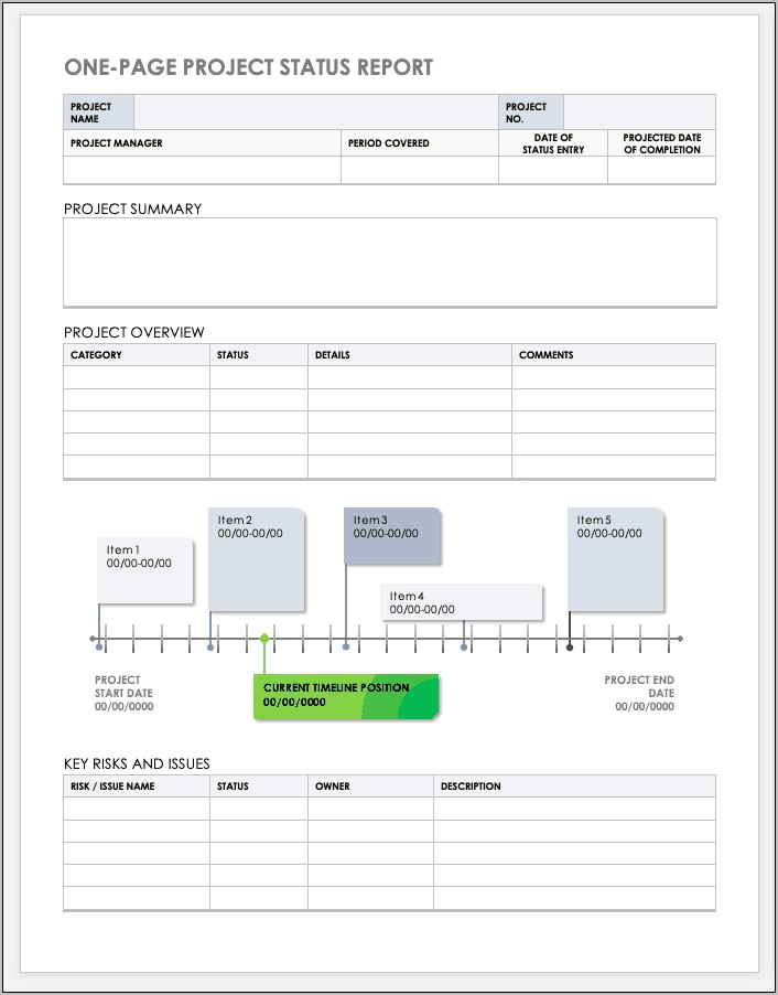 Download Ms Project Visual Report Templates