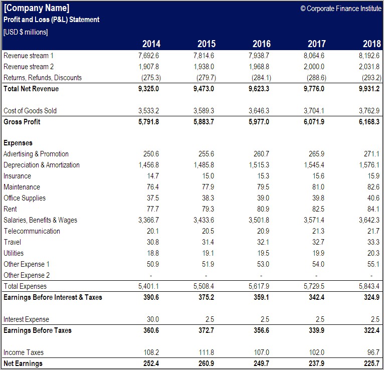 Download Profit And Loss Statement Template