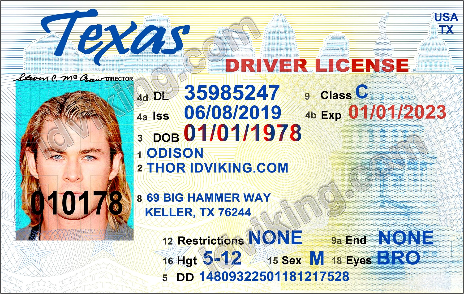 Download Temporary Texas Drivers License Template