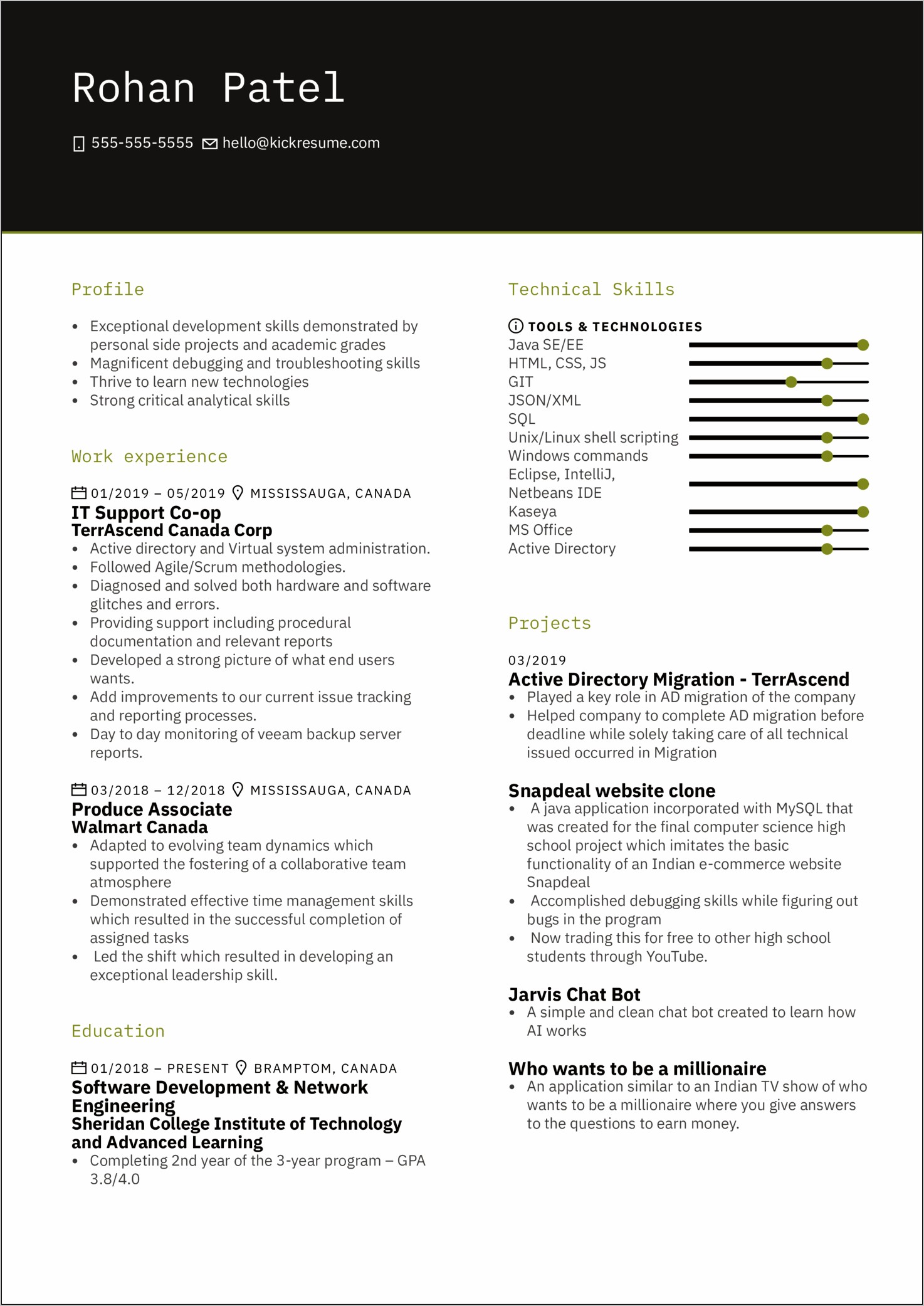 Effective Time Management Skills Resume