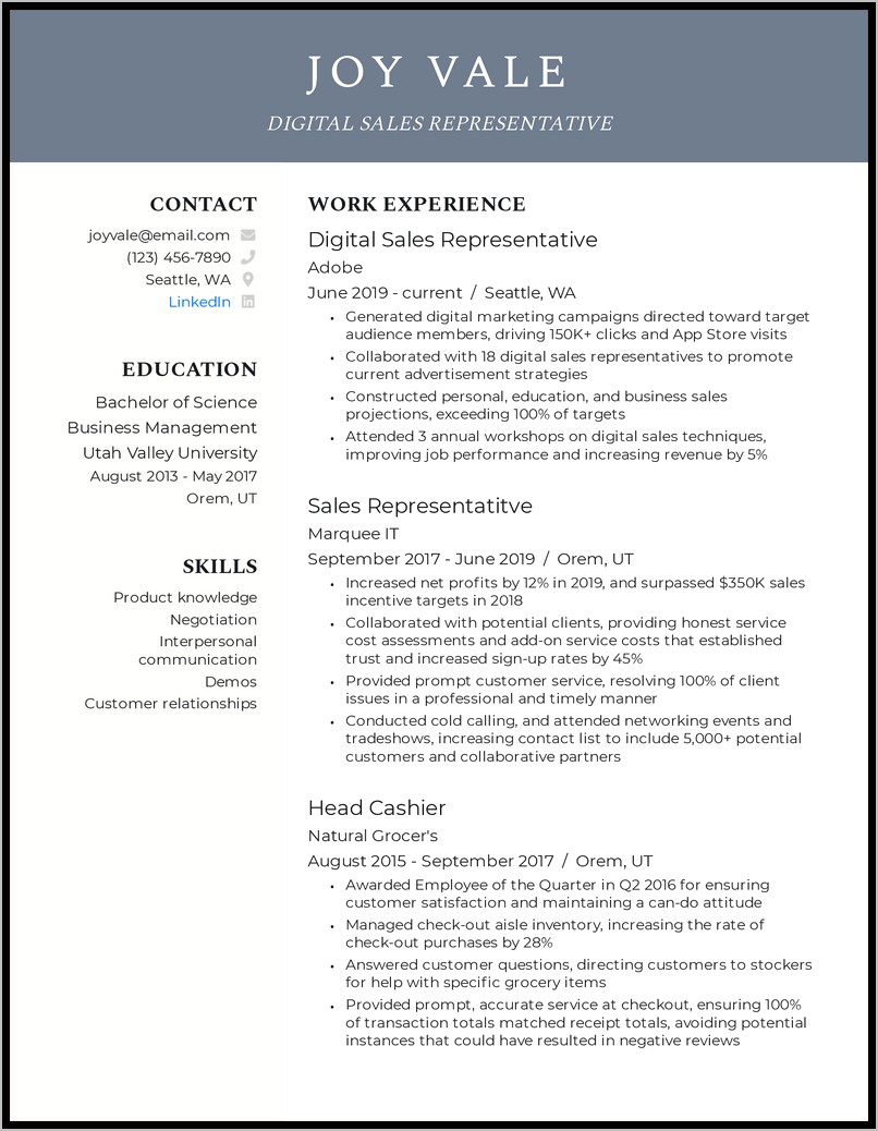 Enterprise Sales Representative Sample Resume