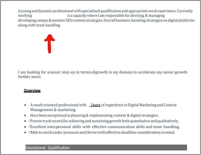 Example Career Objective In Resume