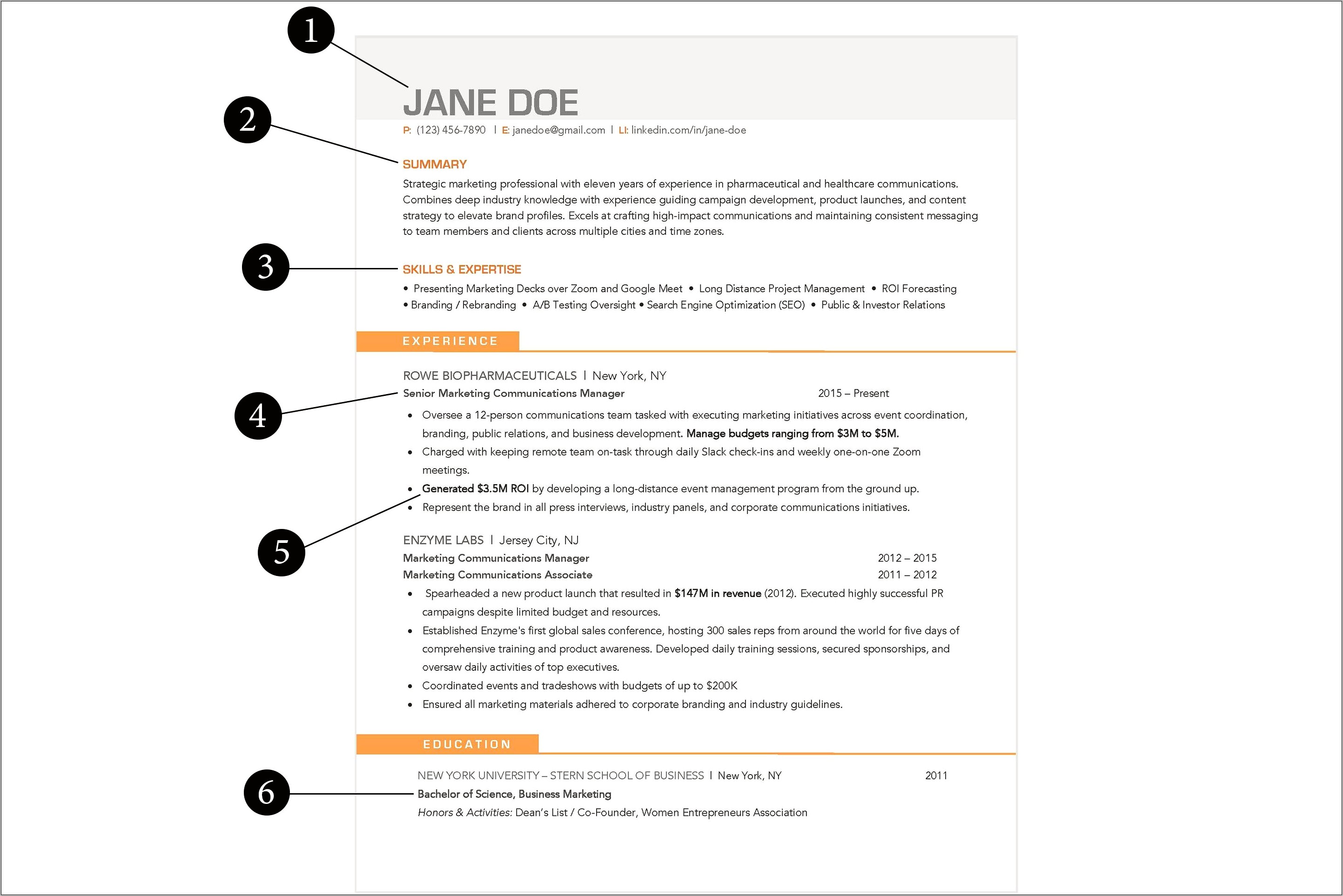 Example Of Strong Professional Resume