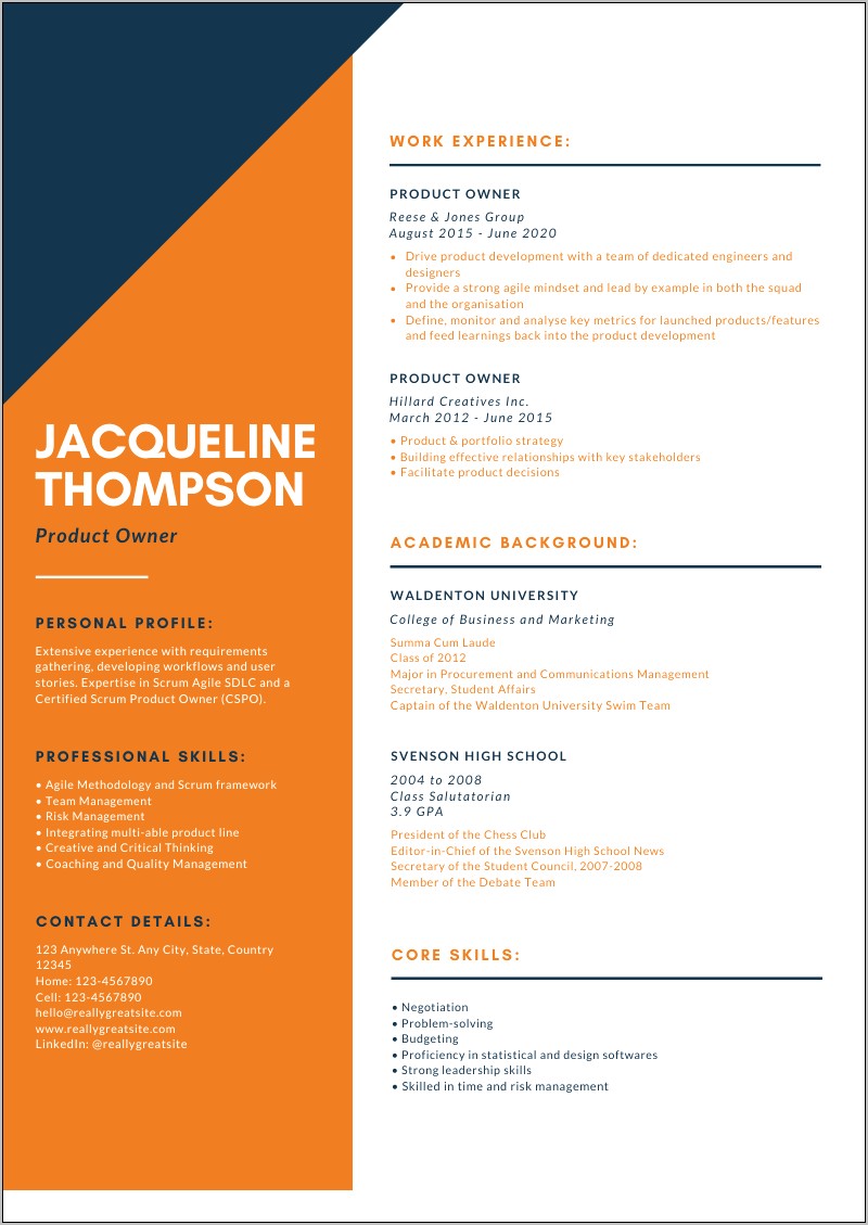 Example Personal Profile Statement Resume