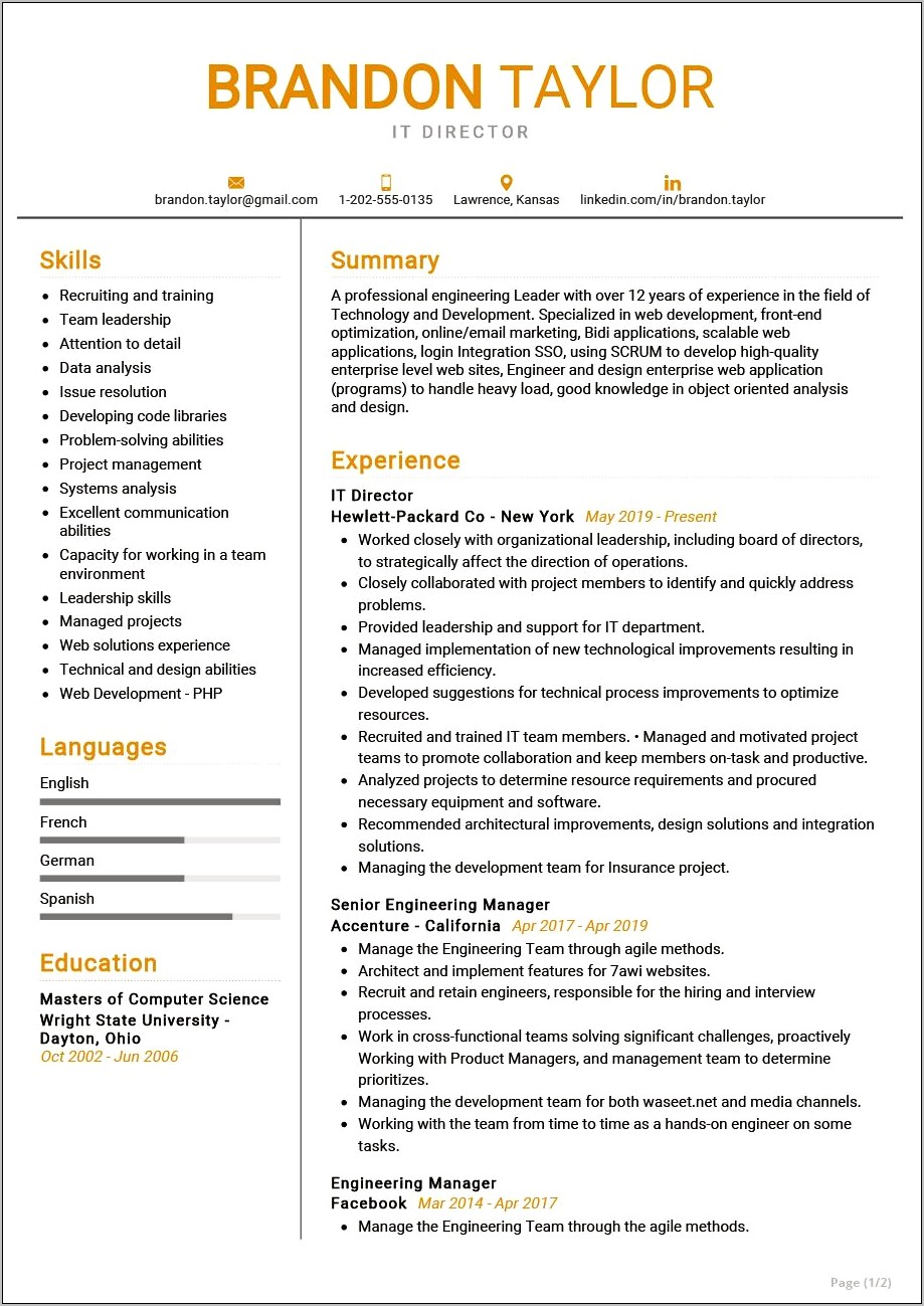 Example Resume For It Director