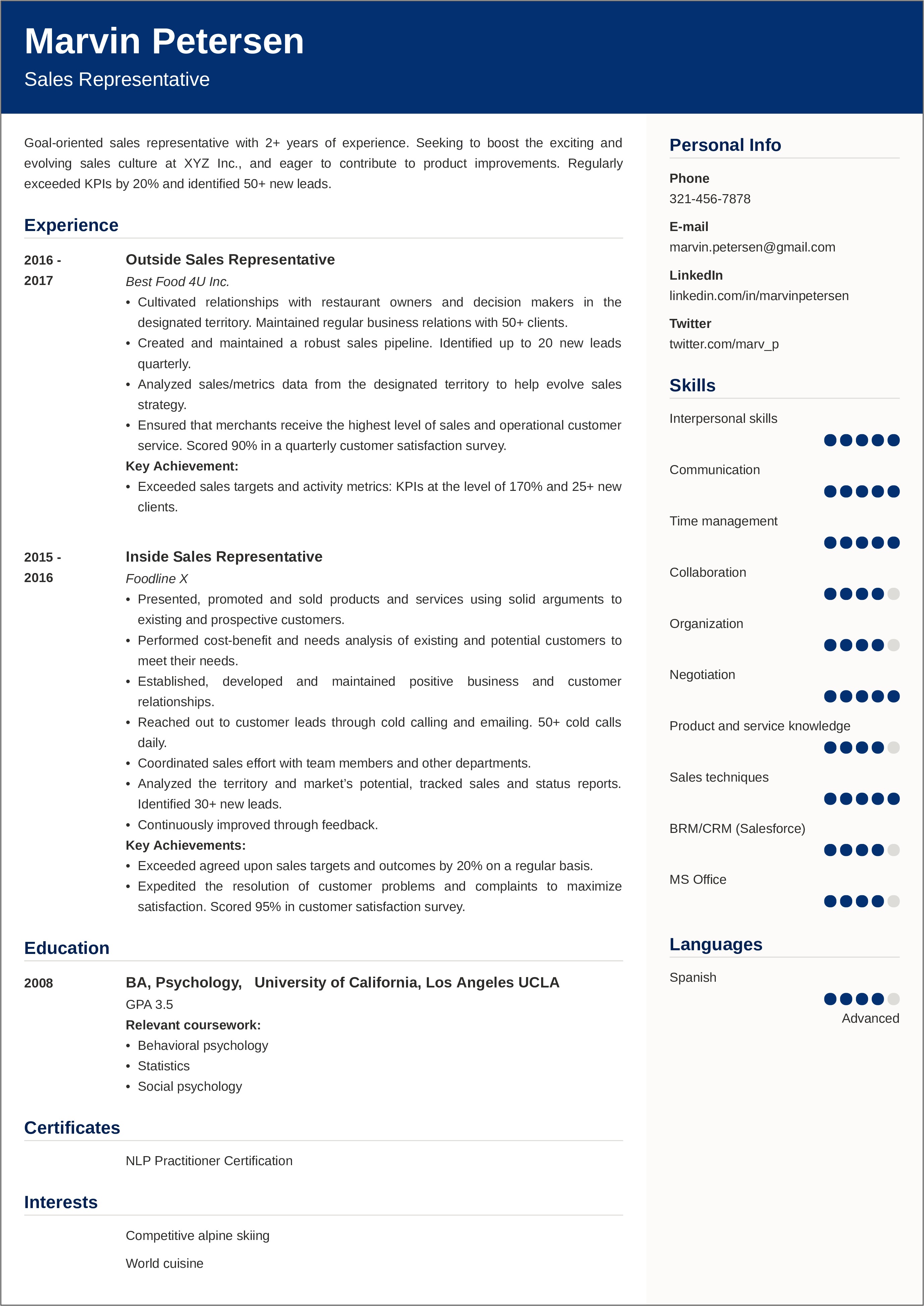 Example Resume For Sales Professionals