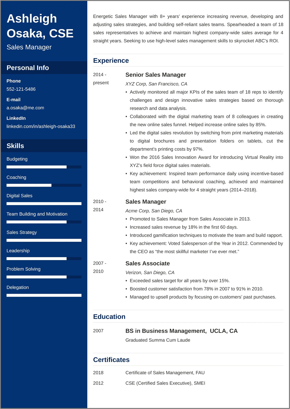 Example Resume Of Cluster Manager