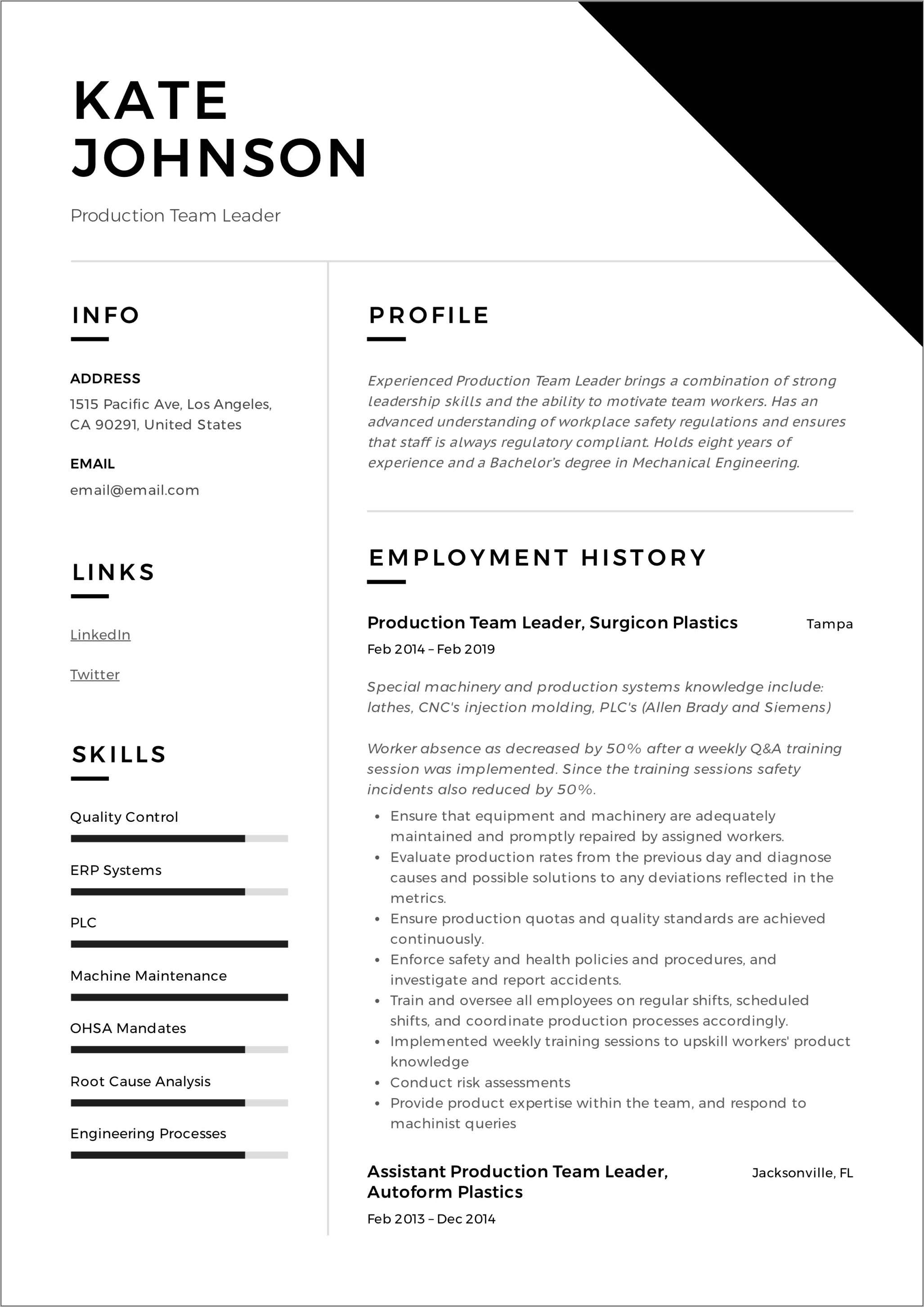 Example Resume Oil And Gas