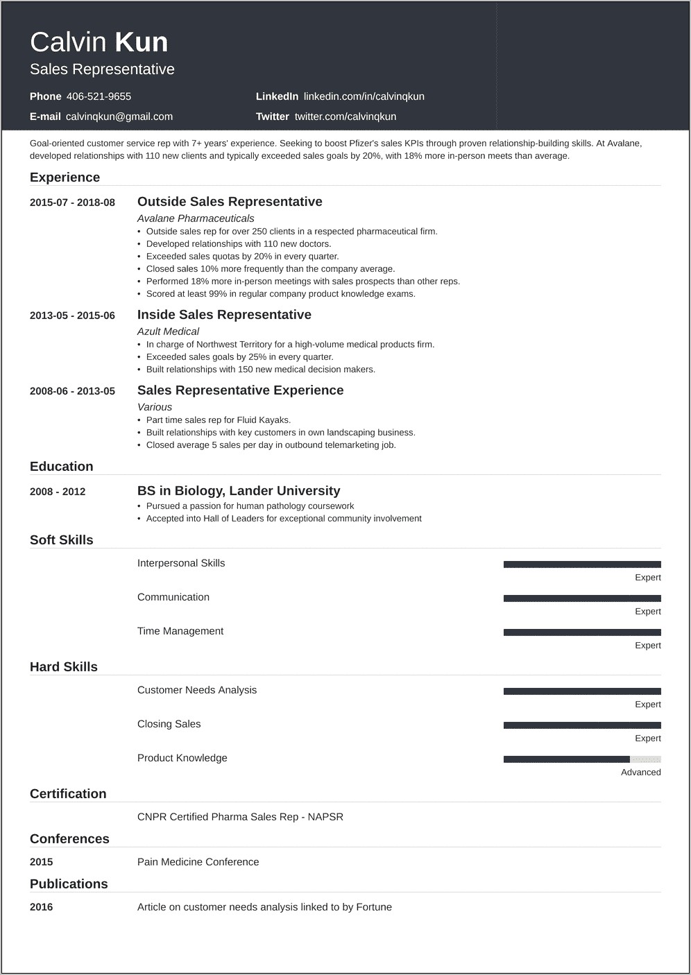 Example Resumes For Sales Positions