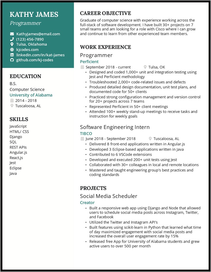 Example Skill Based Resume Programmer