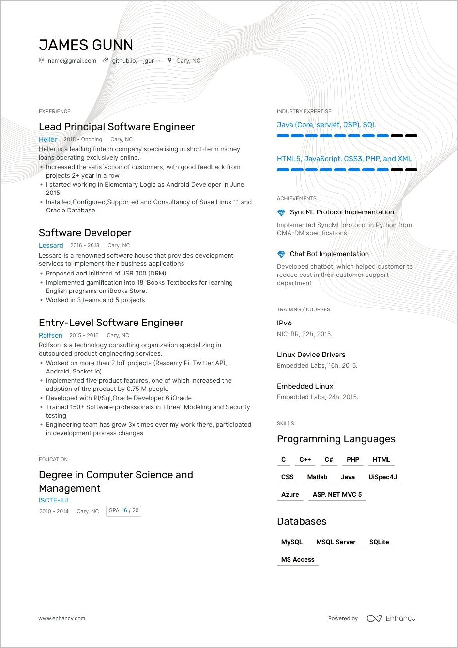 Example Software Engineer Resumes Summary