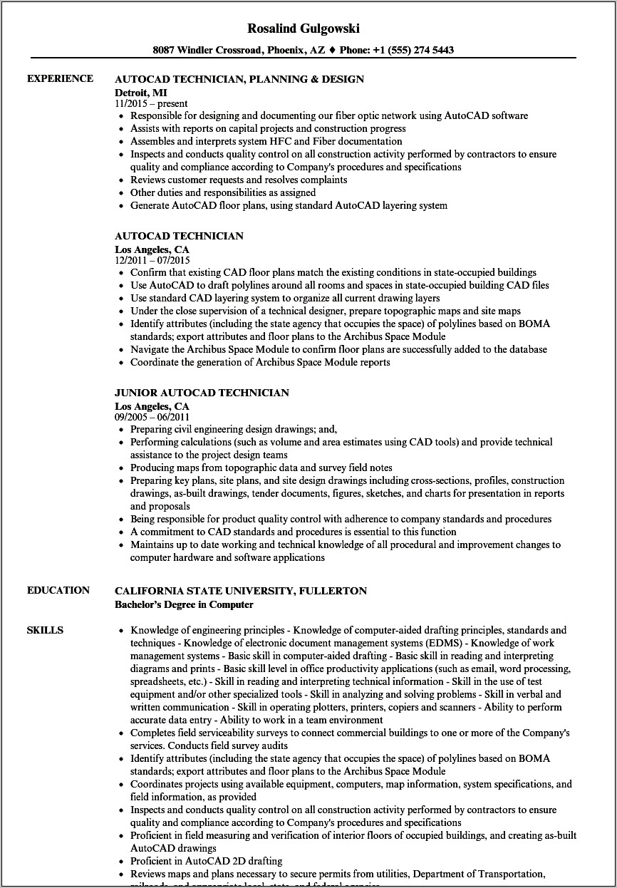 Examples Of Autocad Drawer Resume