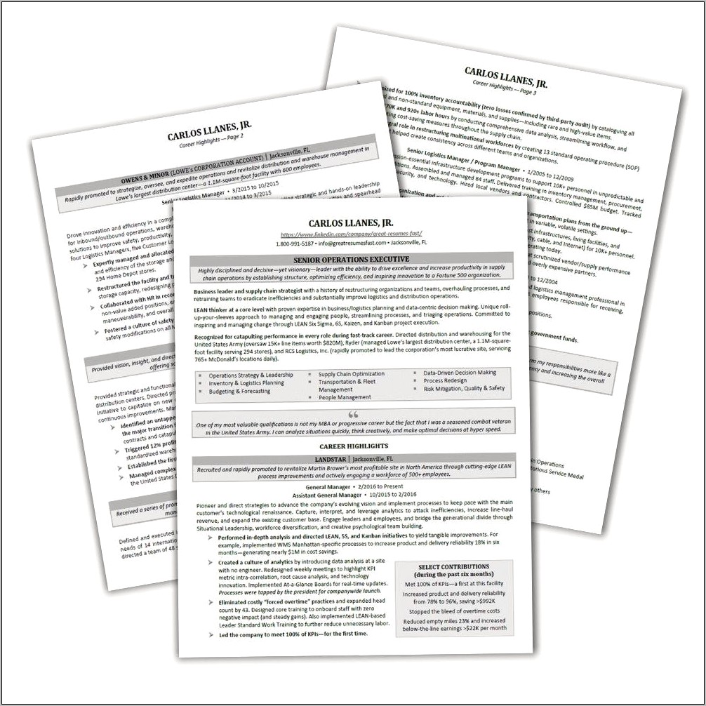 Examples Of Executive Level Resumes