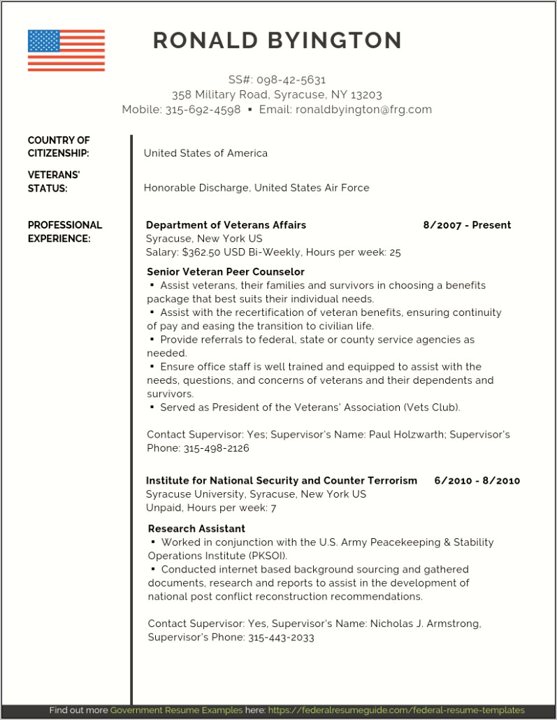 Examples Of Good Government Resumes