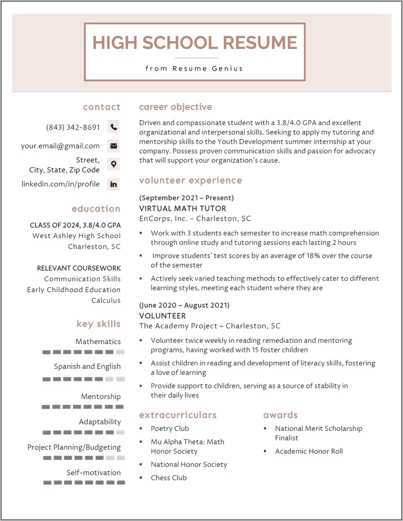 Examples Of Great Resume Examples