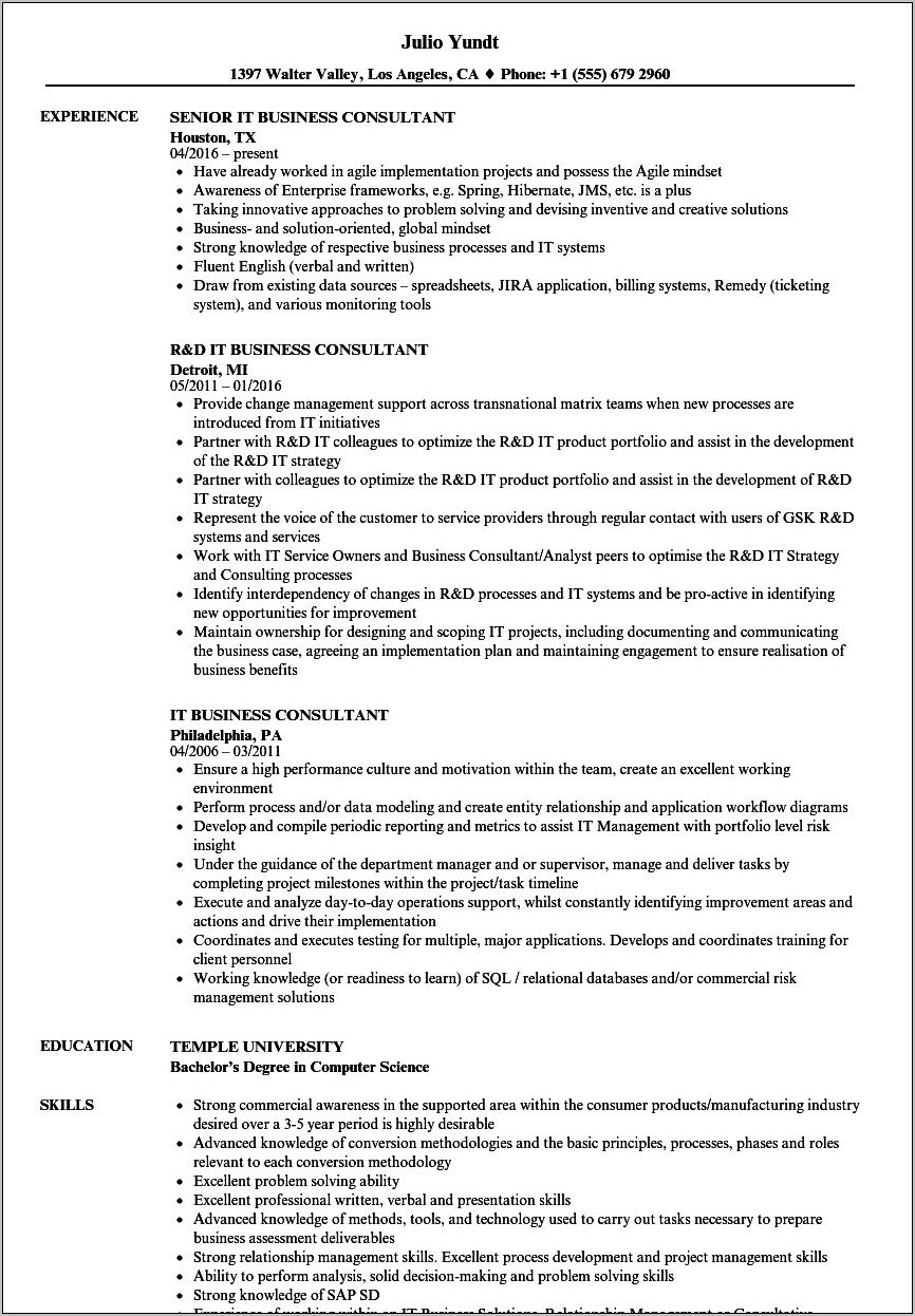 Examples Of It Consultant Resumes