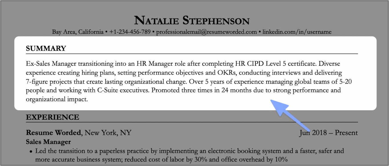 Examples Of Resume Introduction Statement