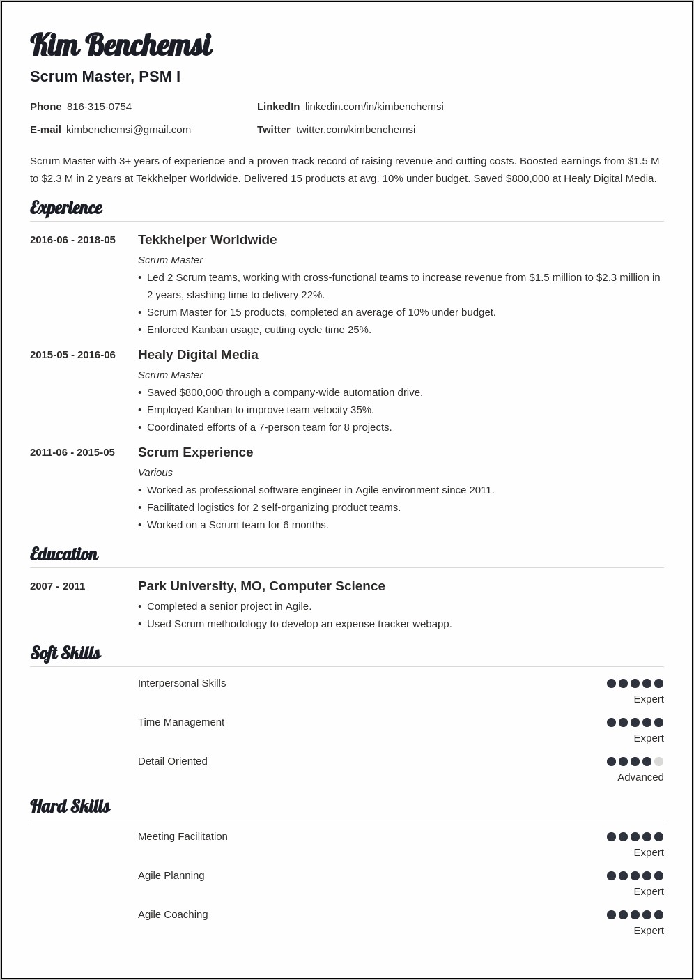 Examples Of Resume With Masteres