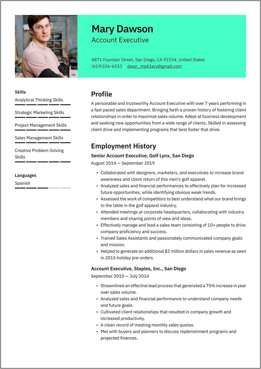 Examples Of Resumes For Executives