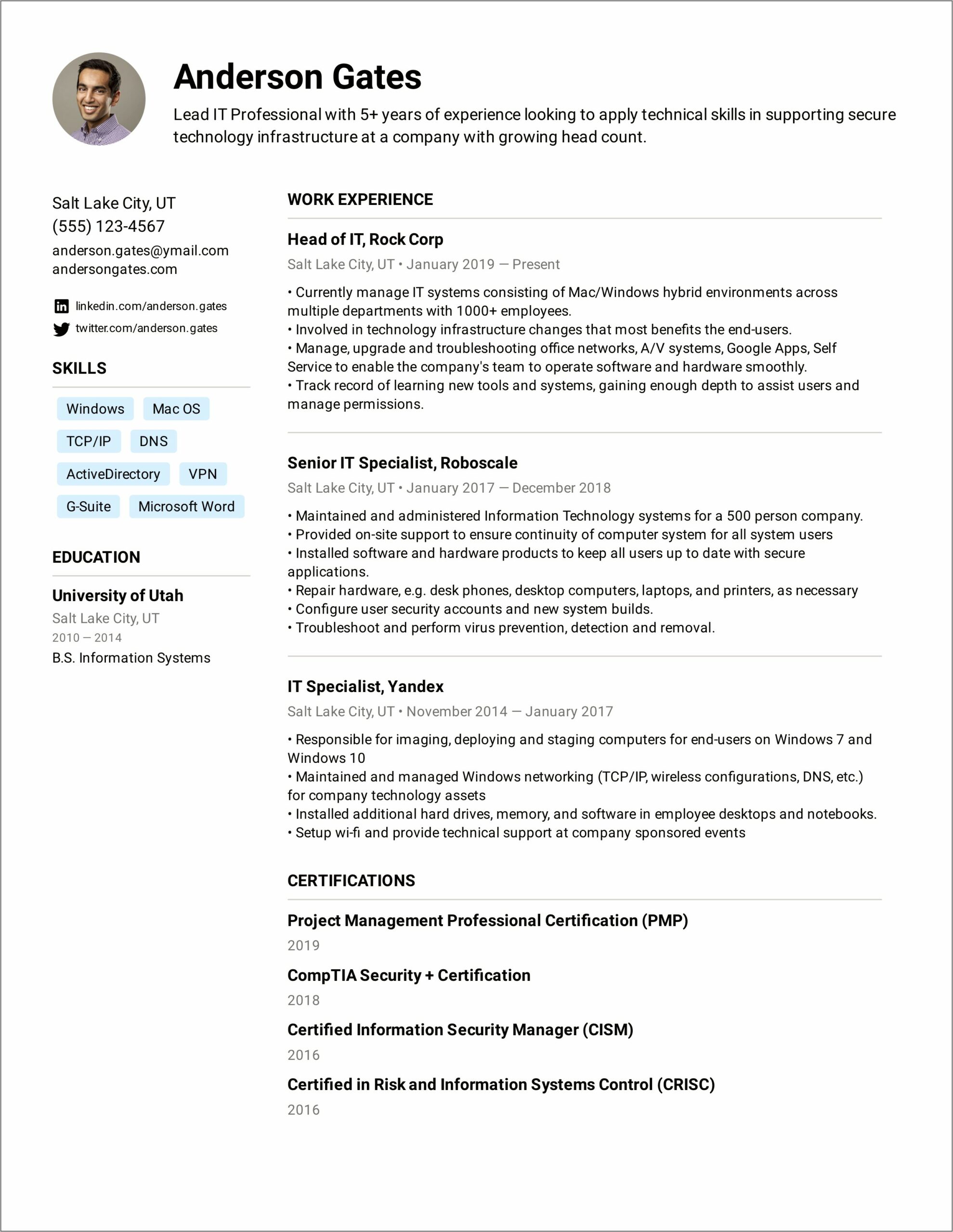 Examples Of Summary Statement Resume