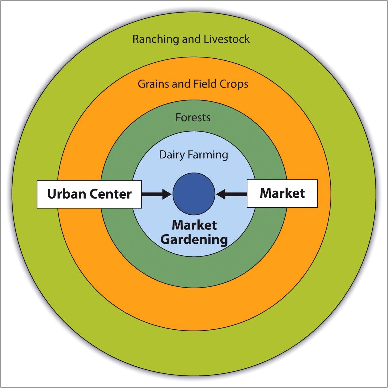 Examples Of Urban Gardening Resumes