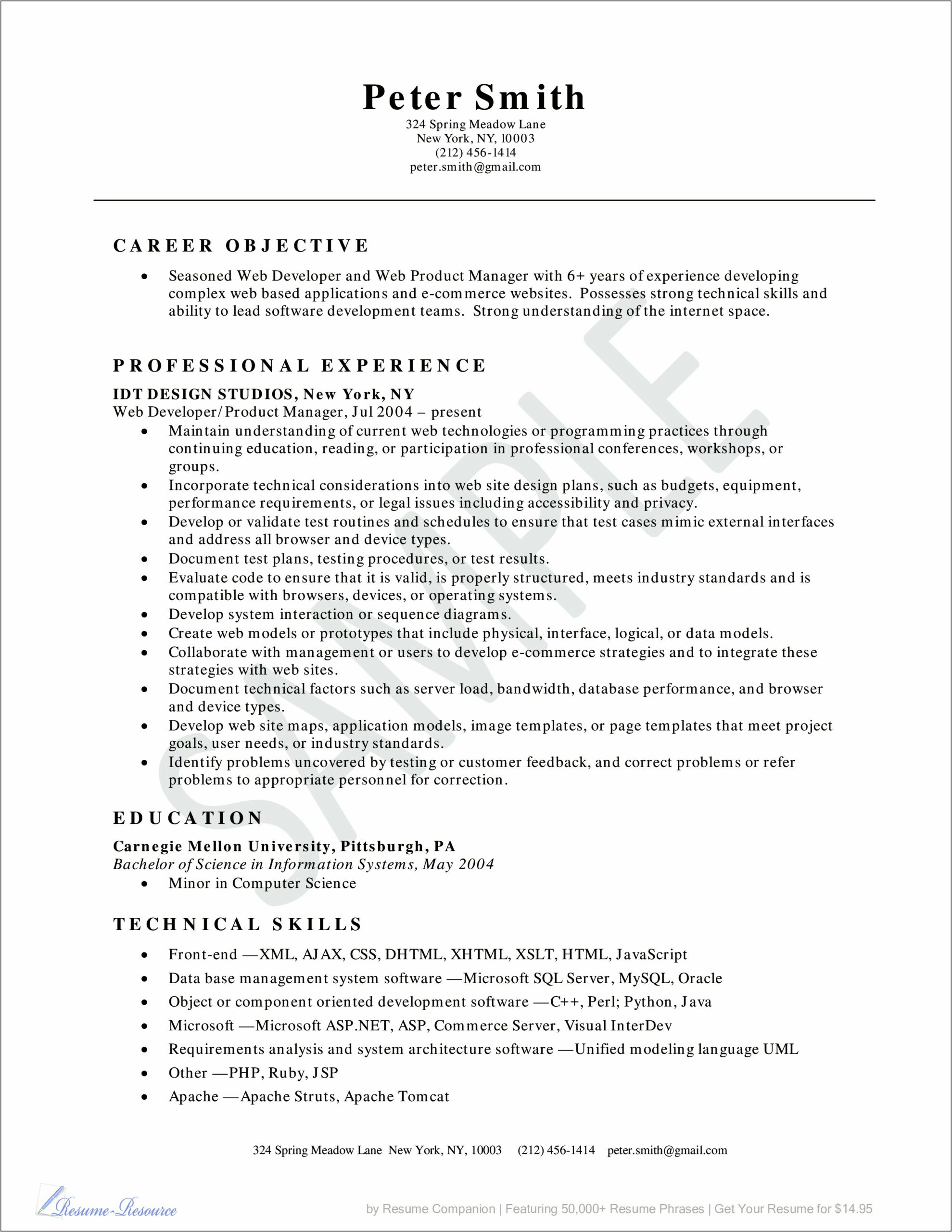 Examples Of Web Developer Resumes