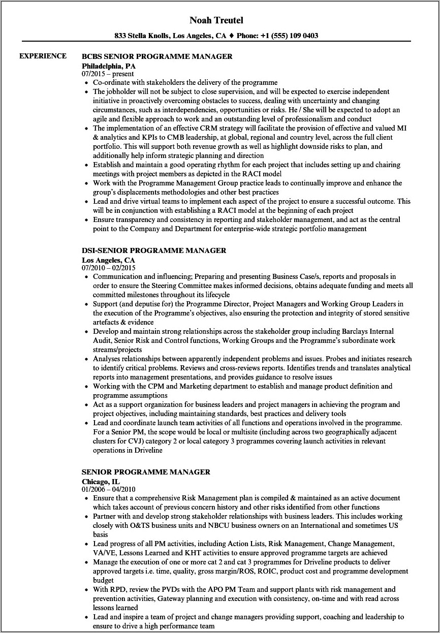 Executive Program Manager Resume Summary