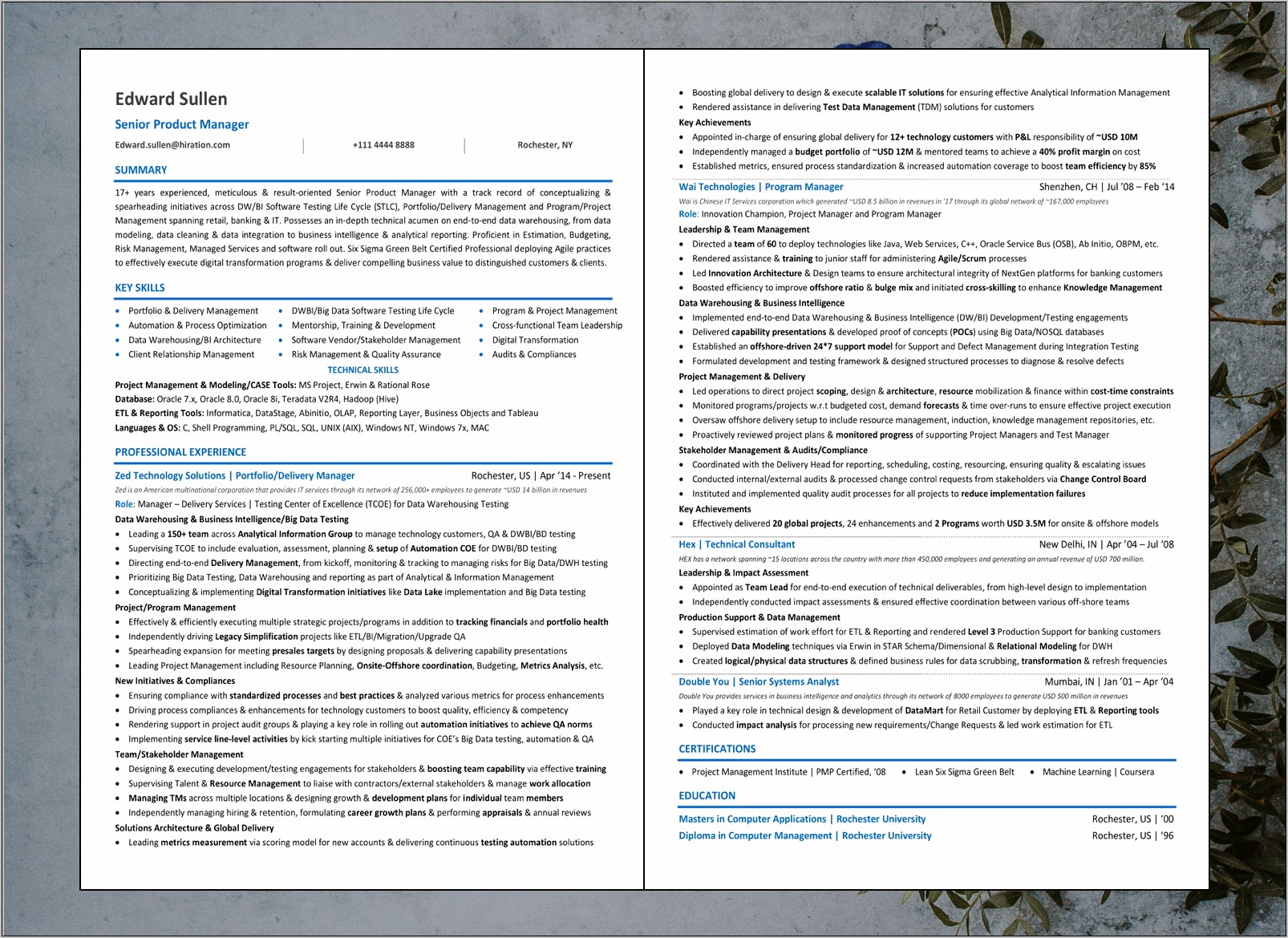 Executive Resume For Product Management