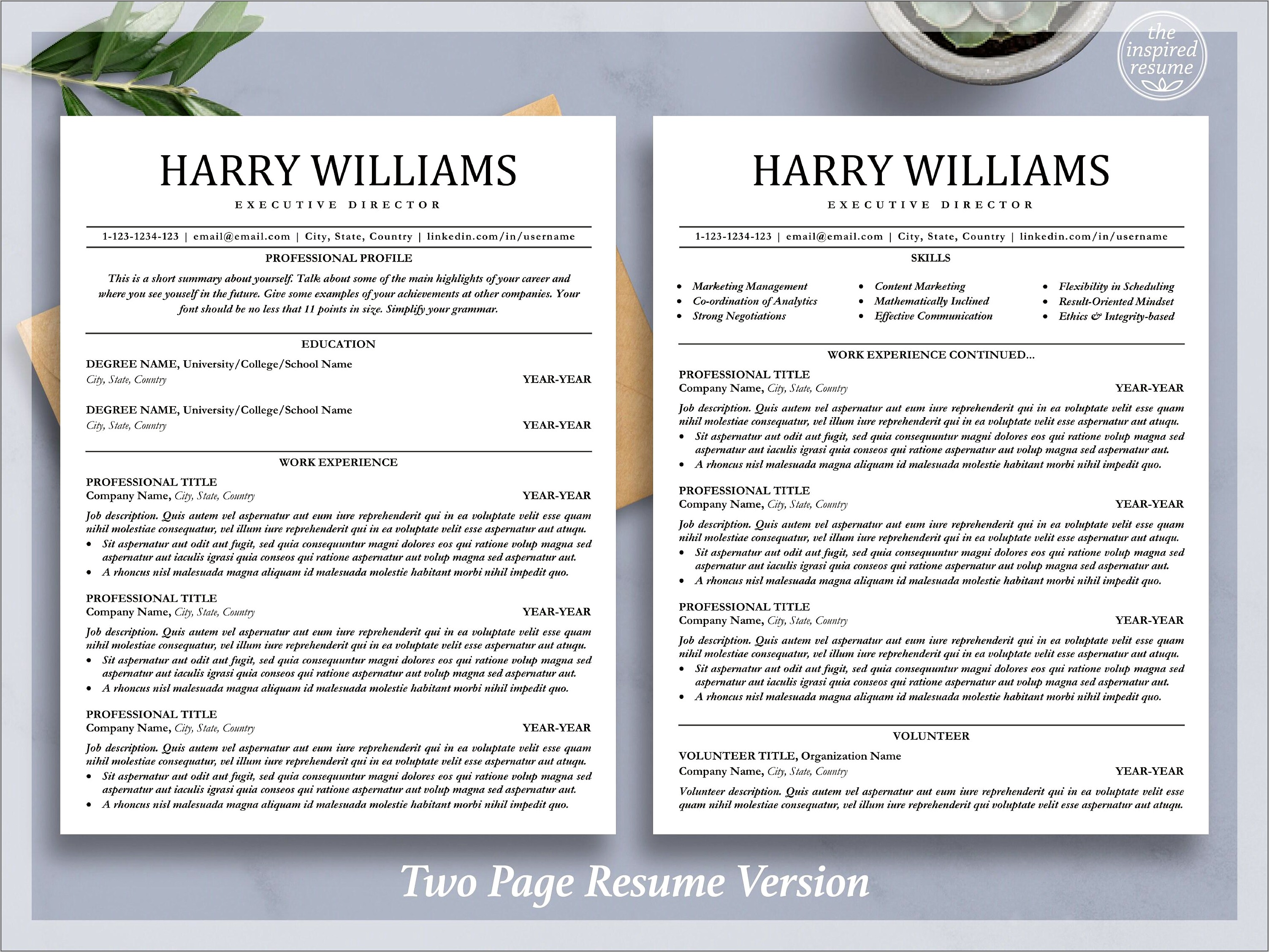 Executive Summary Example Resume Futur