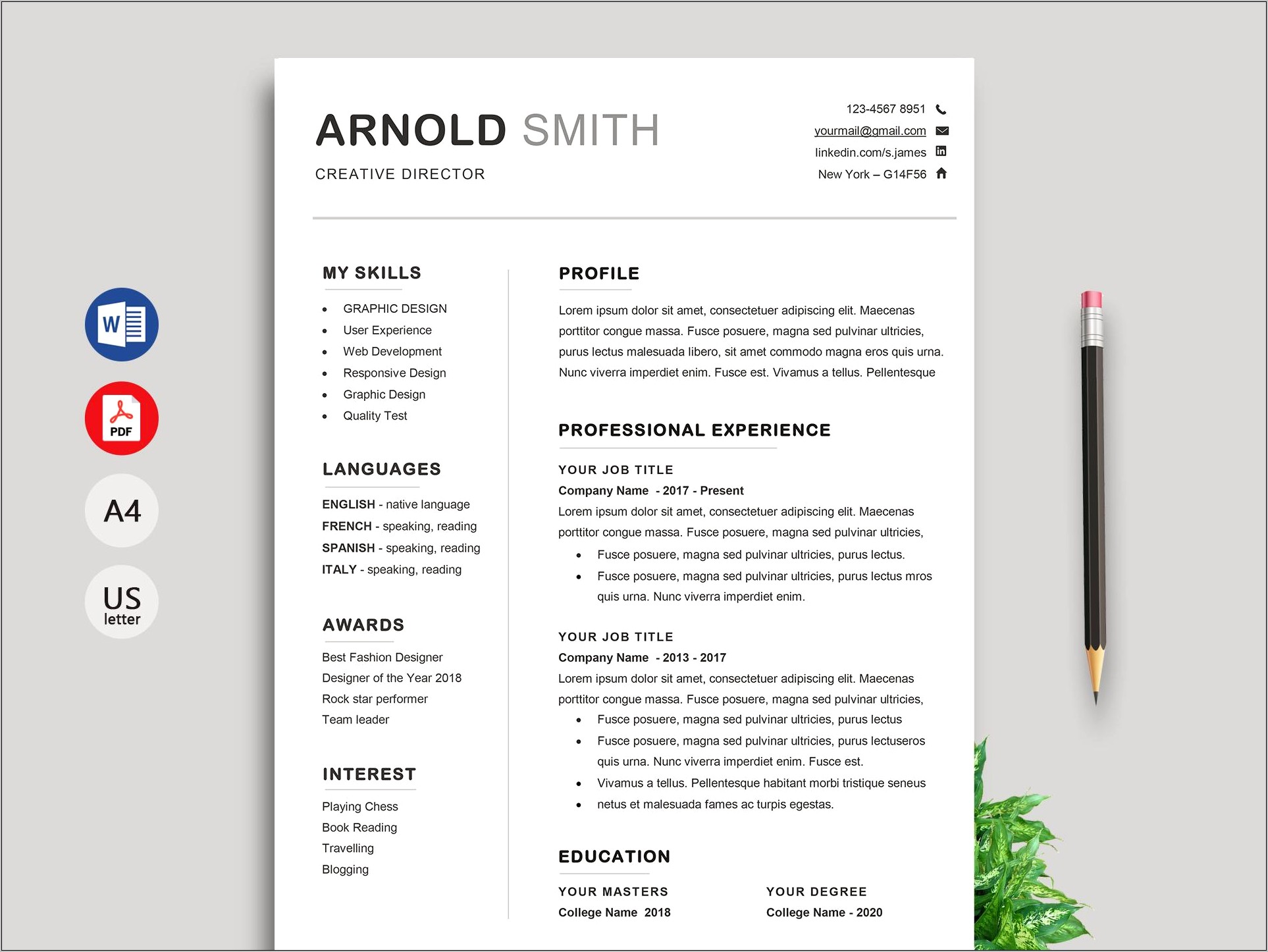 Fancy Resume Templates Free Download