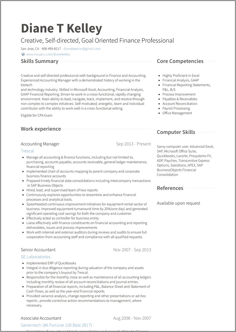 Finance Professional Summary Resume Sample