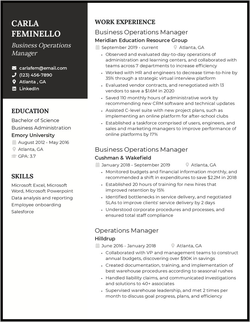 Financial Technology Manager Resume Summary