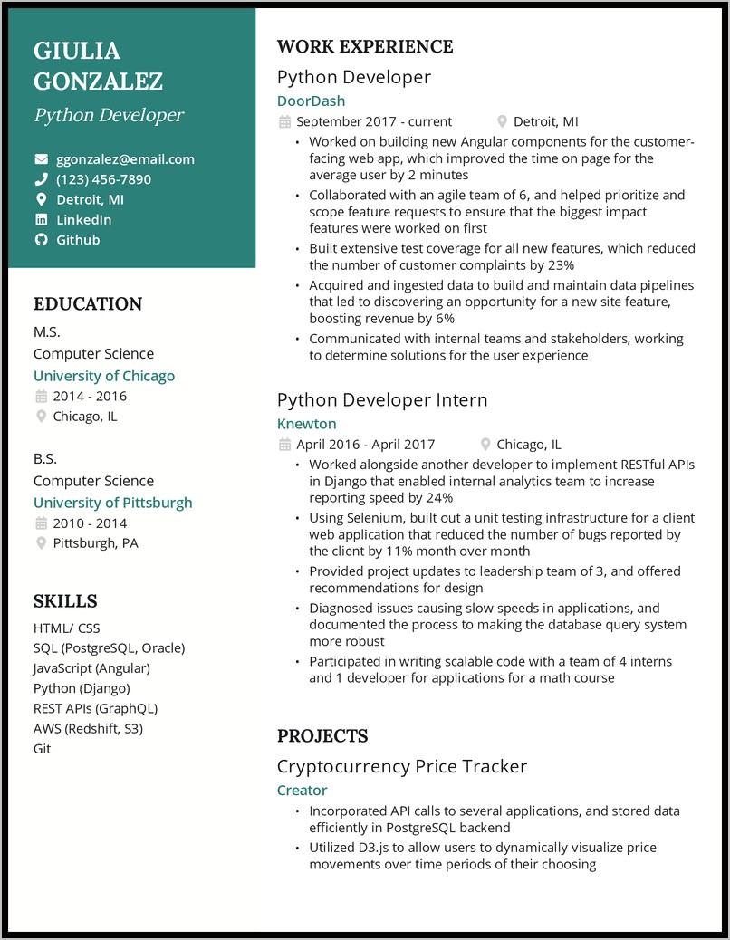 First Software Development Job Resume