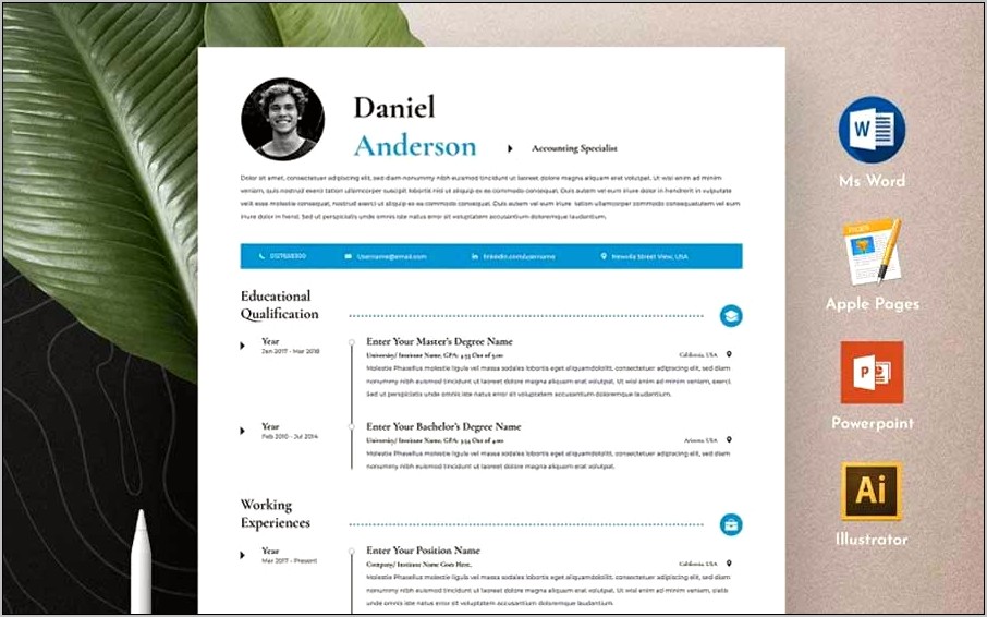 Free Business Resume Templates Word