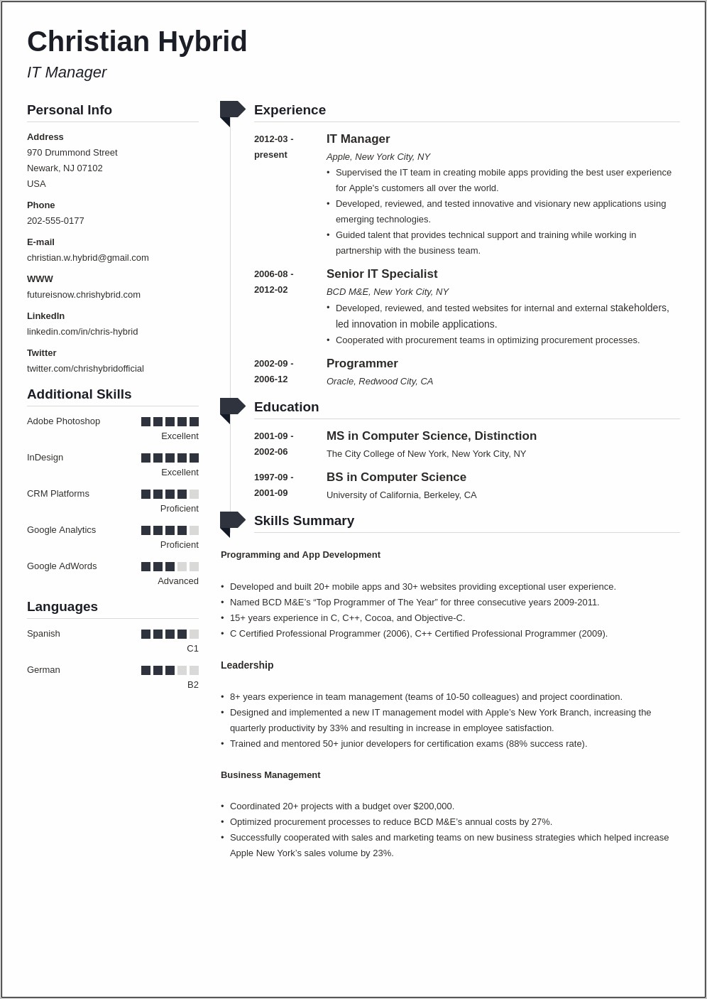 Free Combination It Resume Template