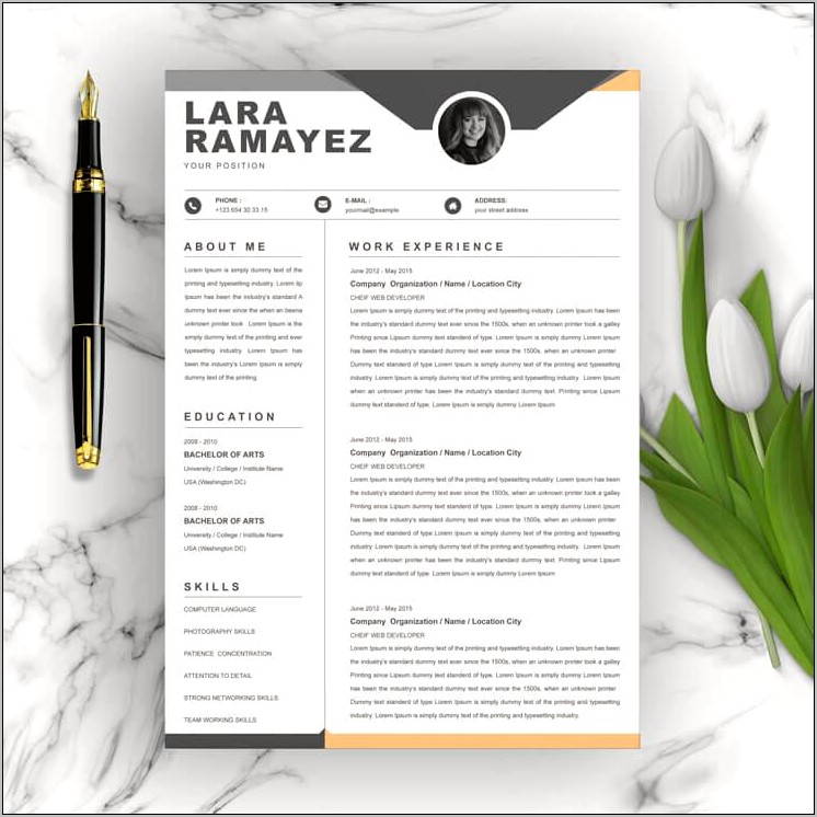 Free Modern Resume Templates 2015