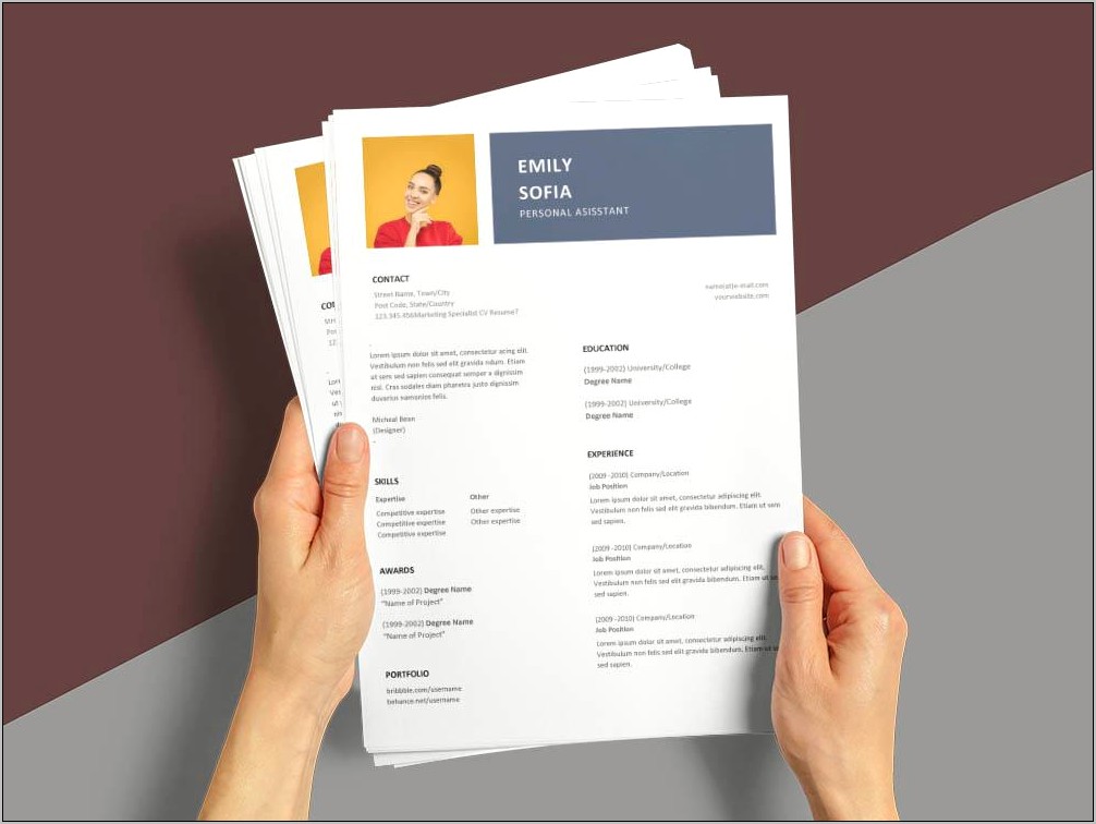 Free Personal Assistant Resume Templates