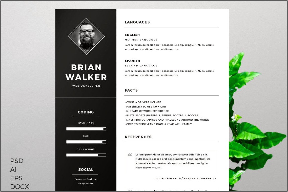 Free Plug In Resume Templates