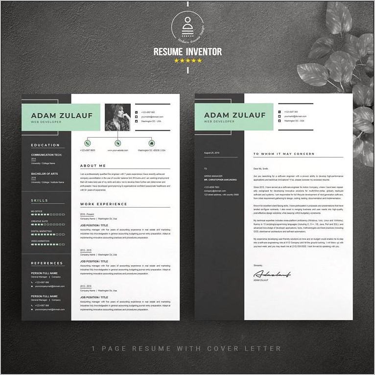 Free Professional Engineer Resume Template